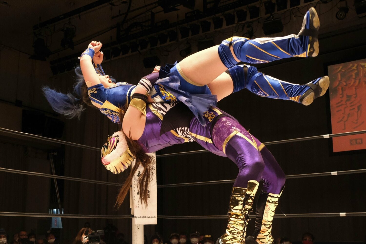 高さのあるジャーマンから…