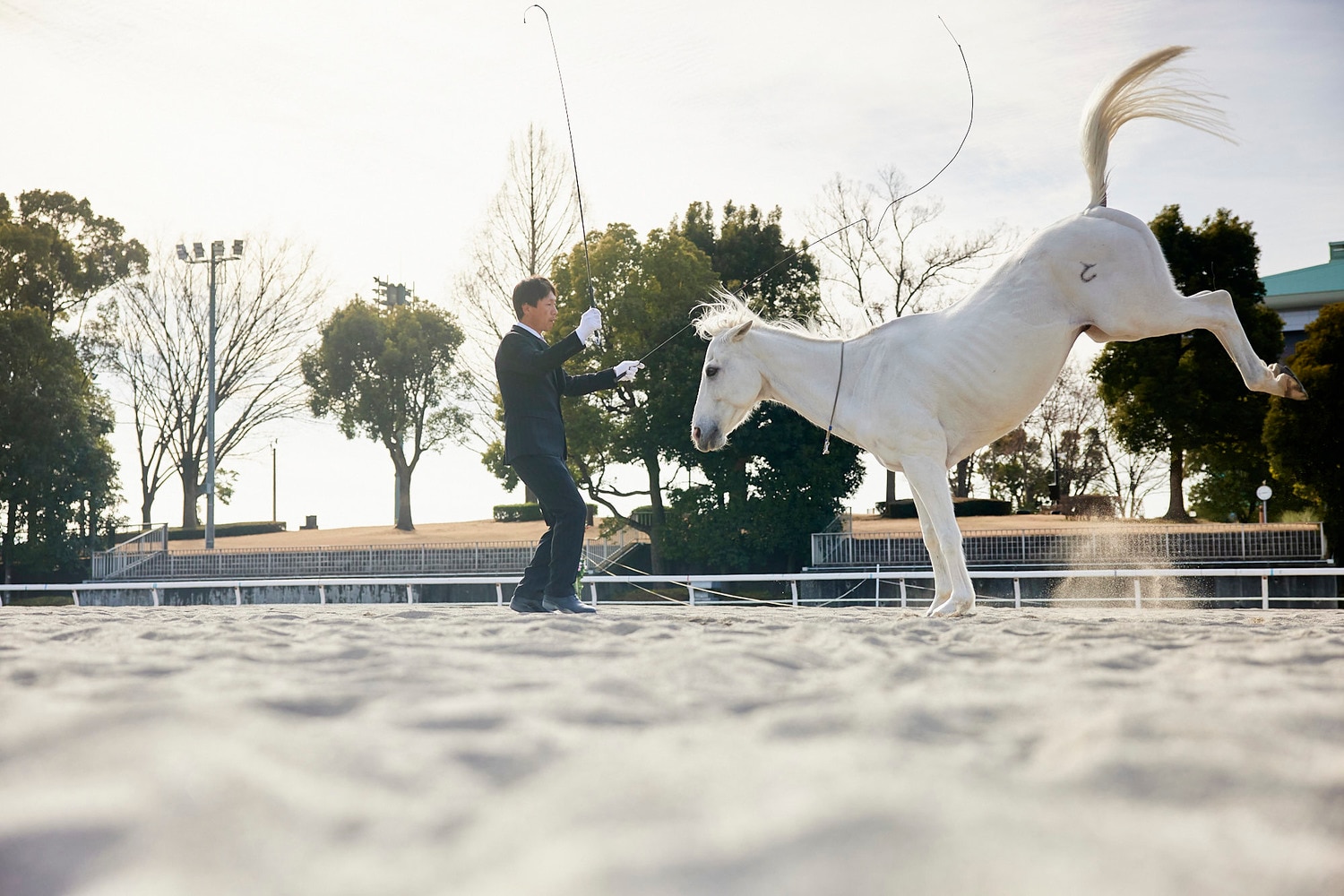 アトラクションホースを始めて25年になる富塚剛氏。レースとは違った魅力を伝え続けている　©︎Yusuke Nakanishi