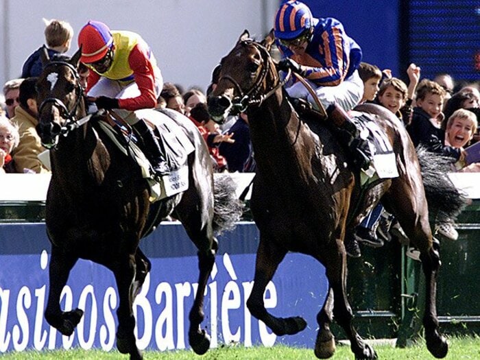 【引退】角居師のドバイWCに蛯名正義の凱旋門賞…　去る伯楽と名騎手が成し遂げた競馬史に残る偉業＜Number Web＞ photograph by AFLO