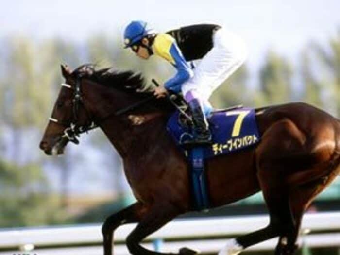 ディープインパクト有馬記念参戦の理由。＜Number Web＞ photograph by Shigeyuki Nakao