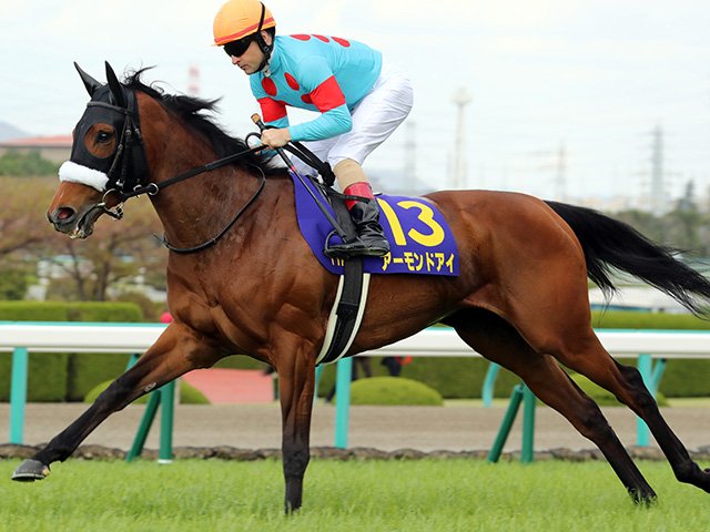 ☆アーモンドアイ(No.2111)☆まねき馬倶楽部 年度代表馬SPカード ☆アーモンドアイ(No.2111)☆まねき馬倶楽部 年度代表馬SPカード