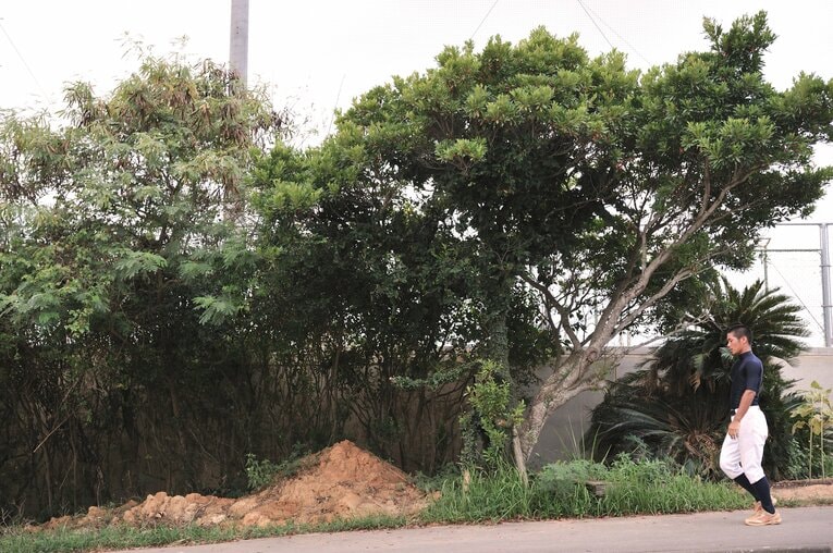 沖縄尚学（2009年撮影）©︎Takuya Sugiyama