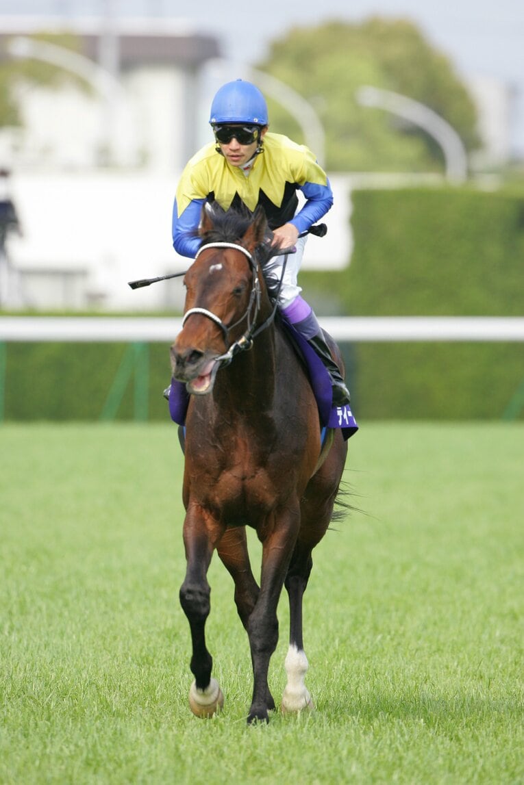 2006年天皇賞・春、ディープインパクト　©Toshiya Kondo