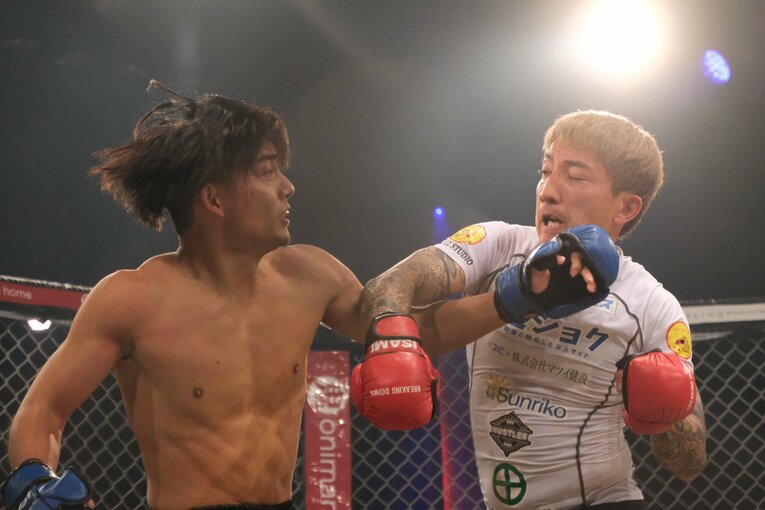 ©Norihiro Hashimoto