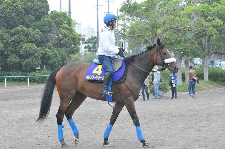戸崎圭太騎手を背に追い切りを行なったカレンブーケドール。状態はよいという ／ photograph by Satoshi Hiramatsu