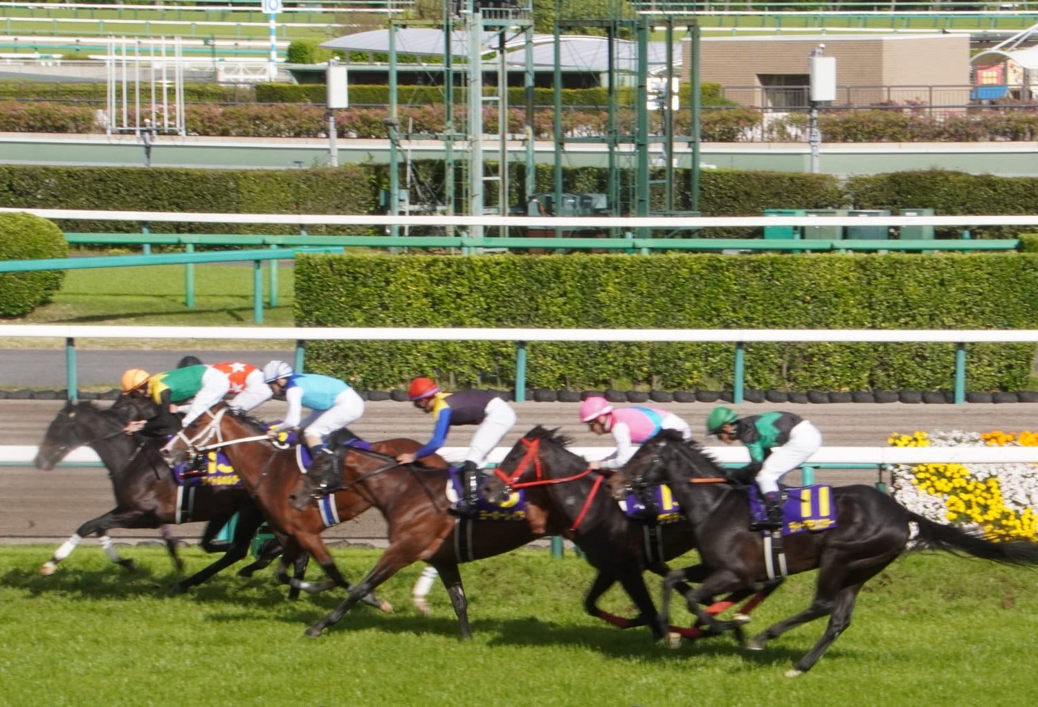 皐月賞の2着争いは熾烈で、2着から7着がクビ、クビ、クビ、半馬身、クビ差だった