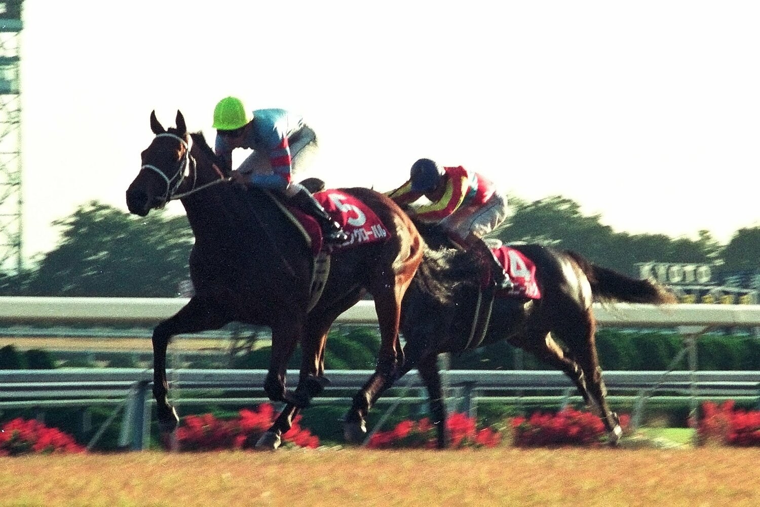 デイリー杯3歳ステークスの直線、後続を置き去りにするヤマニングローバル　©Yuji Takahashi