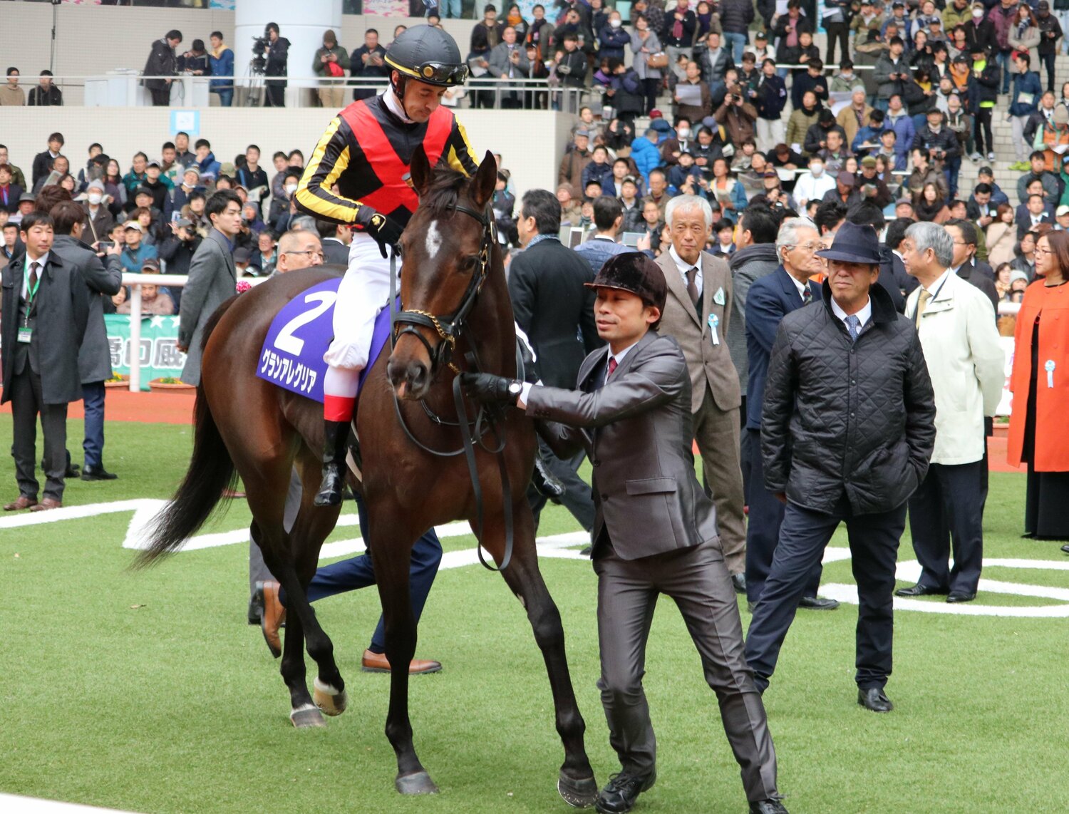 朝日杯FSに挑戦した際のグランアレグリア ©Satoshi Hiramatsu