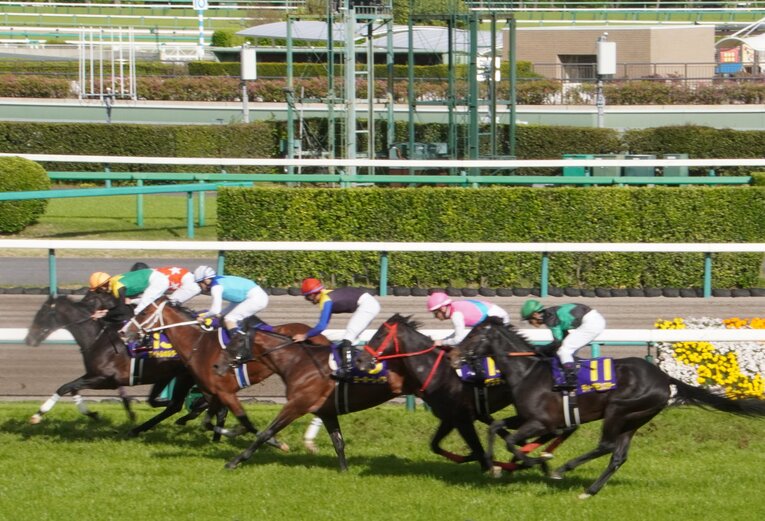 皐月賞の2着争いは熾烈で、2着から7着がクビ、クビ、クビ、半馬身、クビ差だった