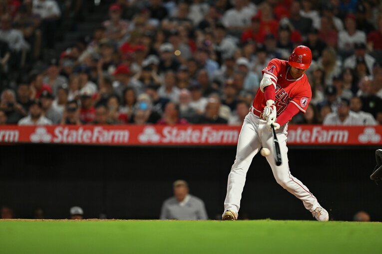 大谷29号の連続写真（1／9） ©Nanae Suzuki