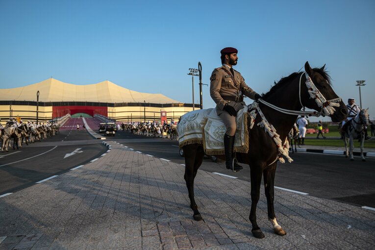 スタジアムに駆けつけたらくだ　©Takuya Sugiyama