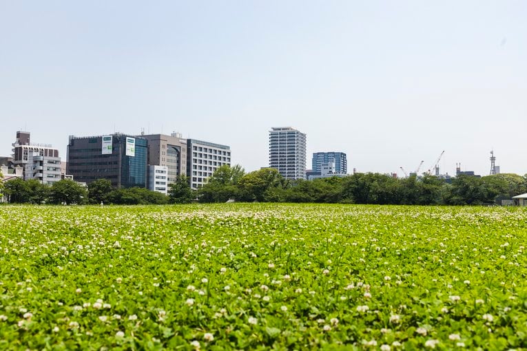 「このあたりがマウンドだったのだろうか」うろうろと歩き回った