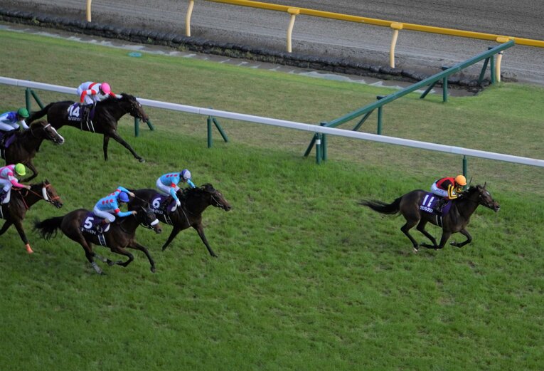 グランアレグリア（右）とアーモンドアイ（左手前）　安田記念