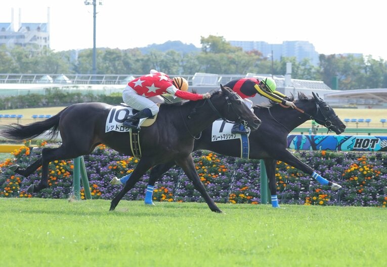 2020年11月1日の新馬戦（右奥がグレートマジシャン）、鞍上のルメールはその能力に太鼓判を押した　©Sankei Shimbun