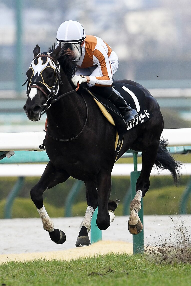 ダートのデビュー戦を快勝したものの、初めての芝のレースに苦戦　©Masashi Hara