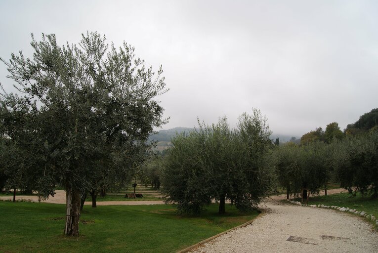 ラノッキアが携わるホテル周辺　©Takashi Yuge