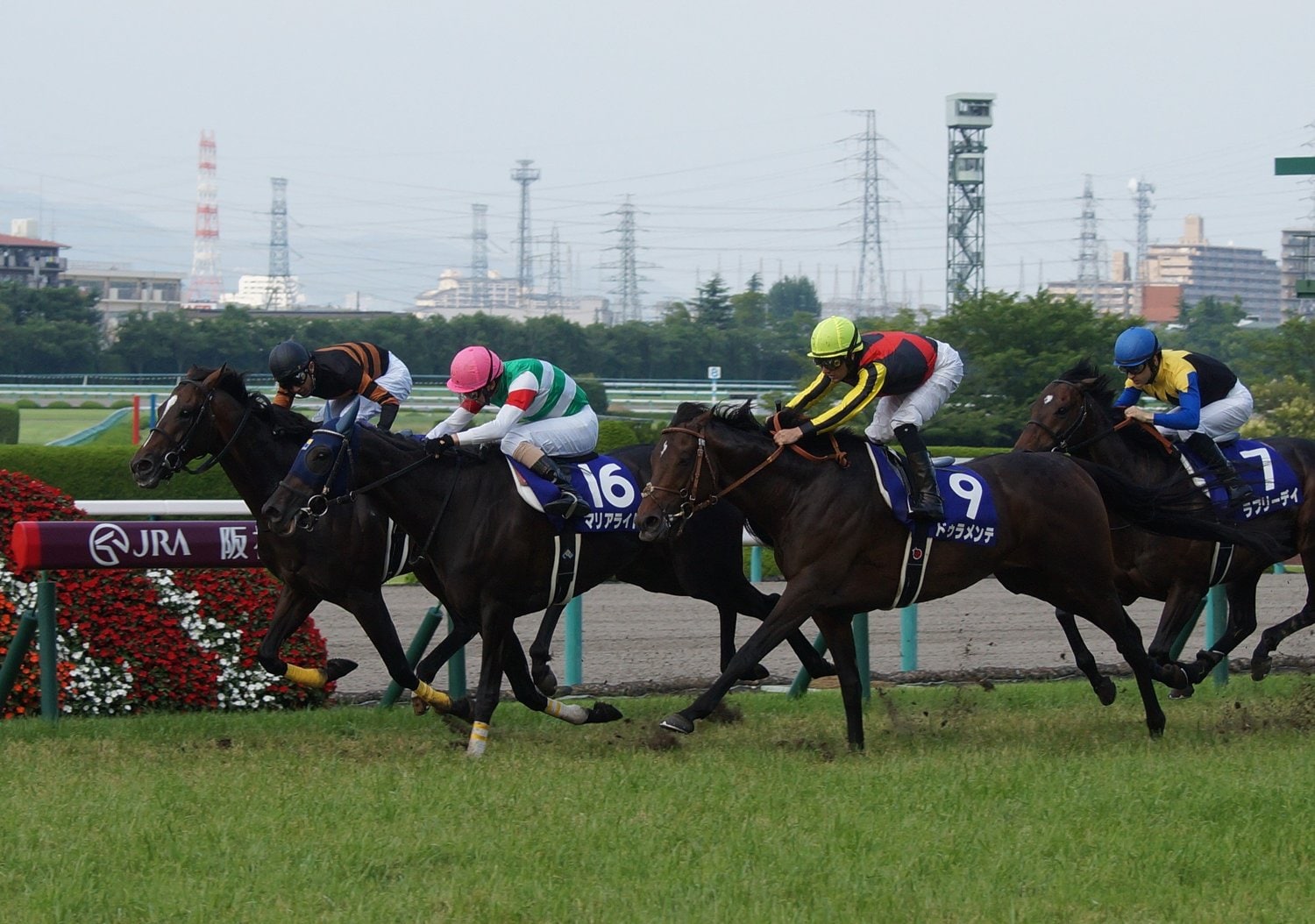 16年宝塚記念ではキタサンブラック（左）、ドゥラメンテ（右）らにも競り勝った　©Satoshi Hiramatsu