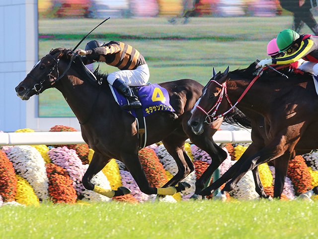キタサンブラック　2017年有馬記念　現地的中馬券　新馬戦コピー馬券のおまけつき キタサンブラック 2017年有馬記念 現地的中馬券 新馬戦コピー馬券の