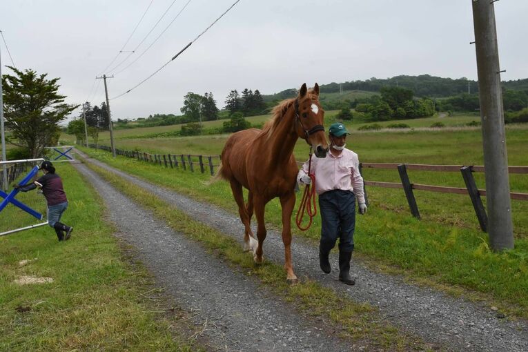 提供：ノーザンレイク