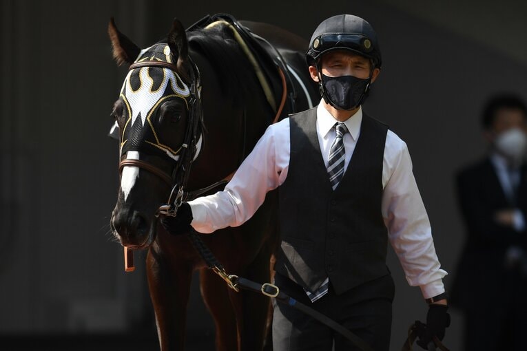 厩舎スタッフのマスクもエル・デスペラード仕様に　©Masashi Hara