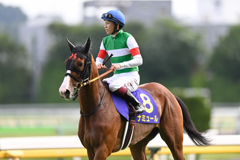 オークス直前に顔面を蹴られて放馬…発走“15分の大遅延”はなぜ起きたのか？「多くの馬の戦いは、スタート前に終わってしまった」(15)