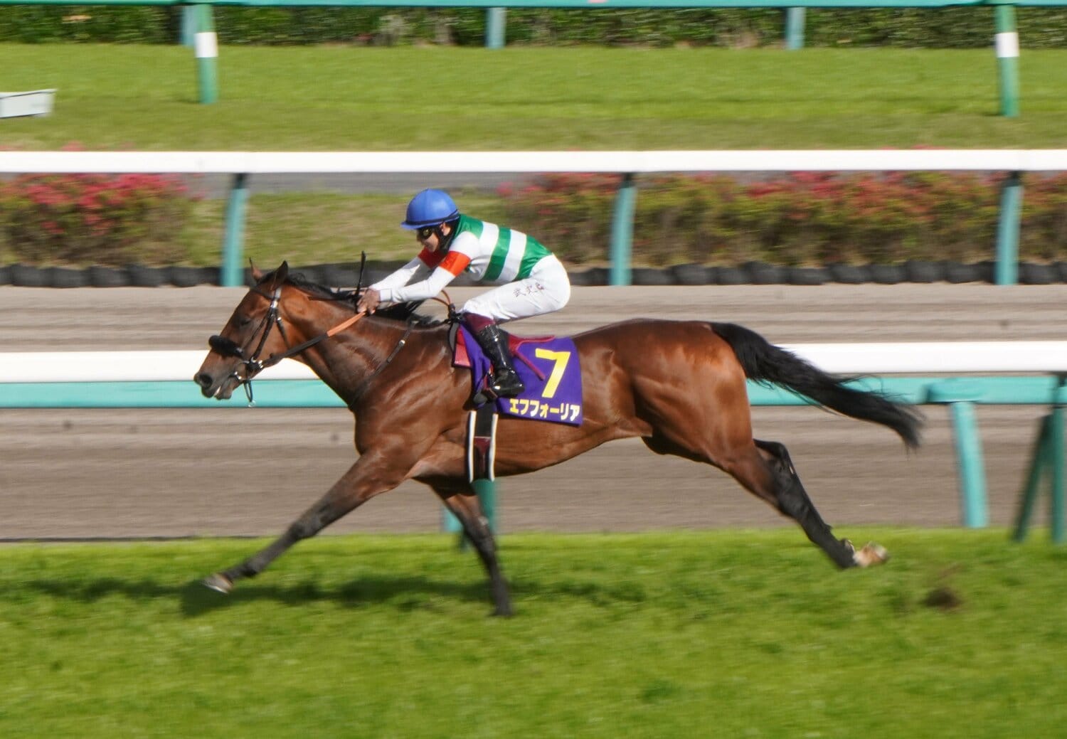 昨年の皐月賞でのGI初制覇を皮切りに、年度代表馬まで上り詰めたエフフォーリアと横山武史　©Satoshi Hiramatsu