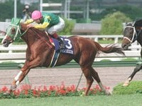 愛馬“オマタセシマシタ”が好きすぎる、ジャングルポケット斉藤慎二に