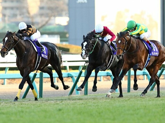 武豊とルメールが感服した“キタサンブラックとサトノダイヤモンドのスゴさ”「ダートでもマイルでも戦える」「頭がいい馬です」＜Number Web＞ photograph by Yasuo Ito/AFLO