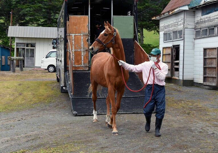 2021年6月16日、ノーザンレイクに到着した時のタイキシャトル　courtesy of Northern Lake（提供：ノーザンレイク）