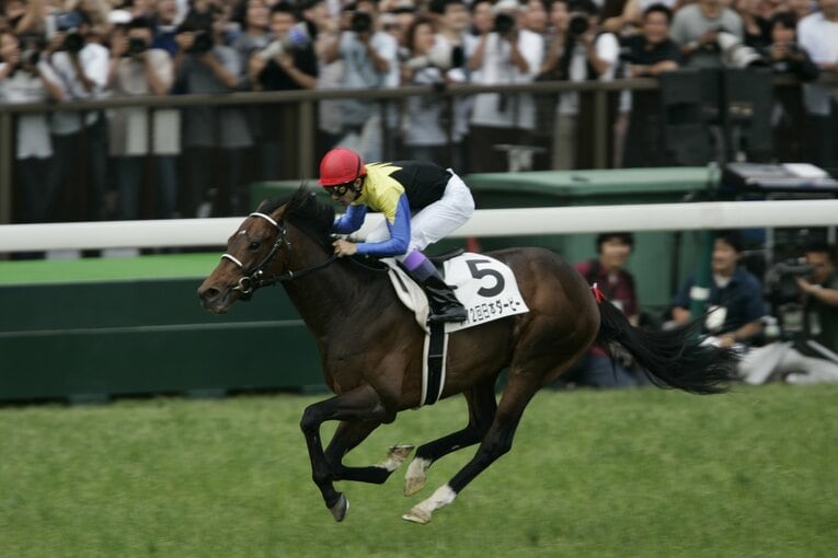 ディープインパクトが圧勝した2005年のダービー　©Takuya Sugiyama