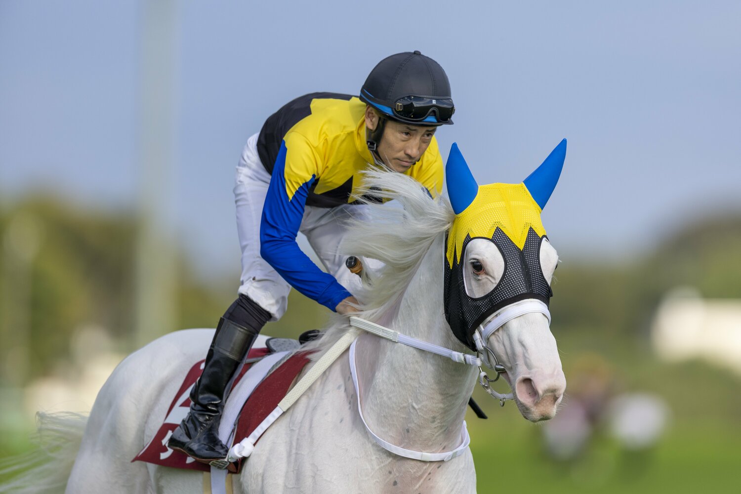 前走府中牝馬Sでのソダシ　©Photostud