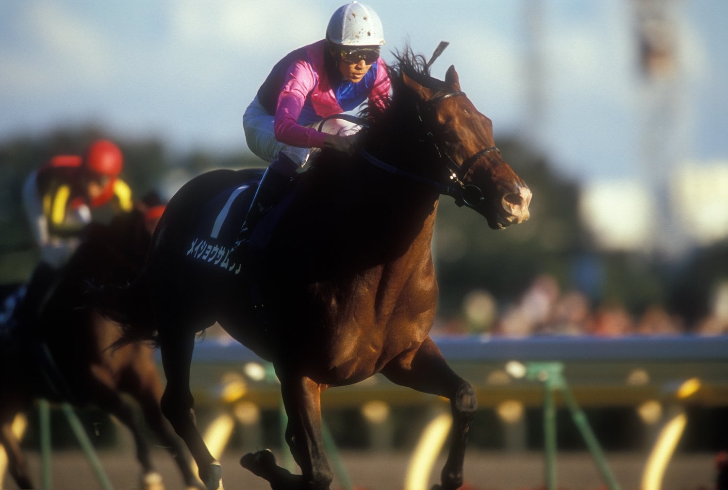 メイショウサムソンと武豊（2007年撮影）　©AFLO