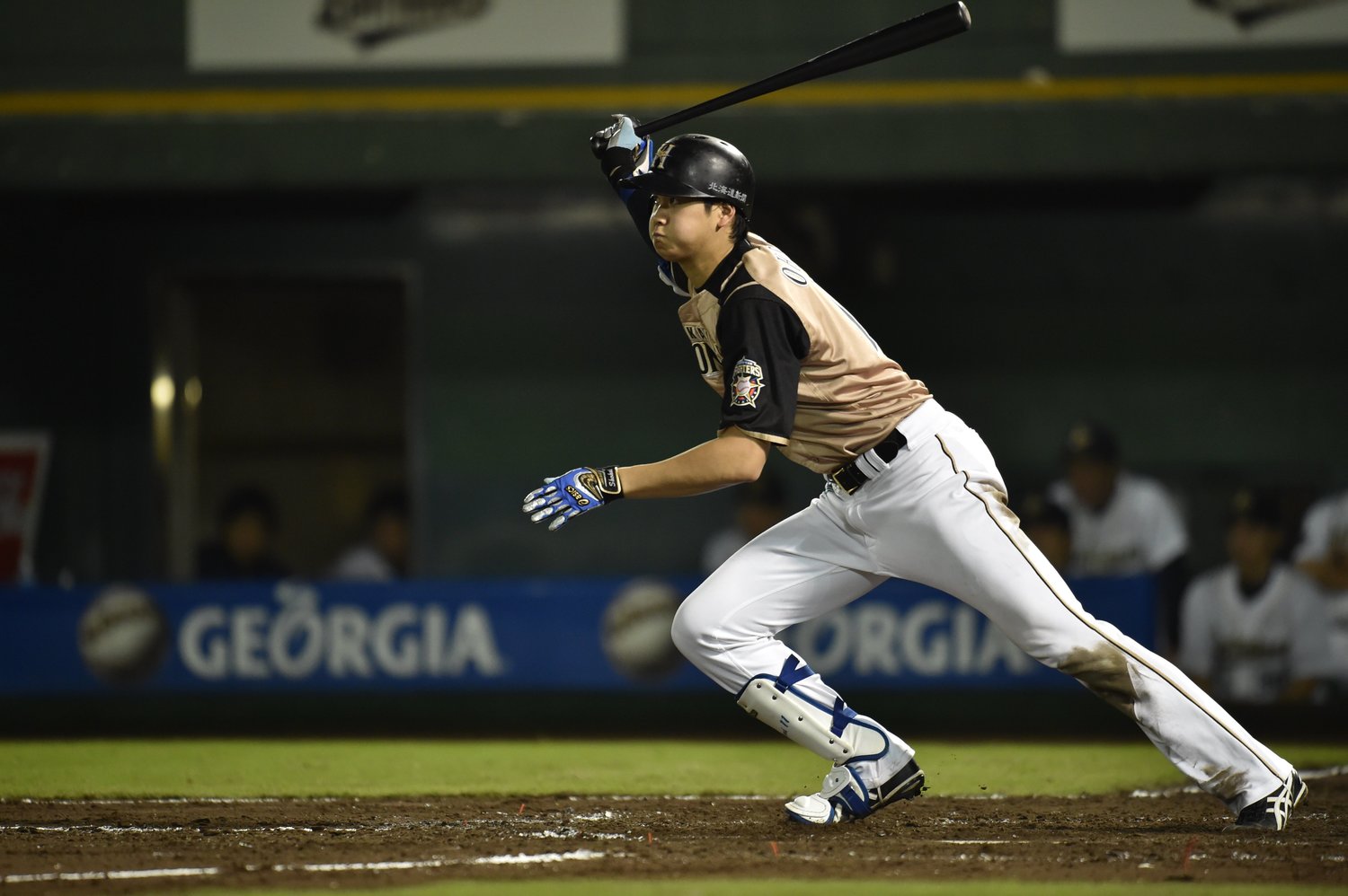 2014年7月　©Hideki Sugiyama