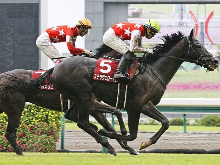 「クロノジェネシスと同じく…」ステラヴェローチェは“道悪専門”ではなく“馬場不問”！ 73年ぶり快挙を狙う牝馬も侮れない【菊花賞】＜Number Web＞ photograph by KYODO