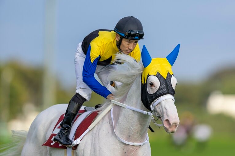 前走府中牝馬Sでのソダシ　©Photostud