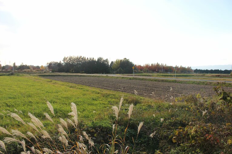 「俺らもプロに行けるかも…感覚がバグる」ドラフト“史上最多”6人指名の富士大ってどんな所？ 岩手の奥地「ポツンと一軒大学」を訪ねてみた！(87)