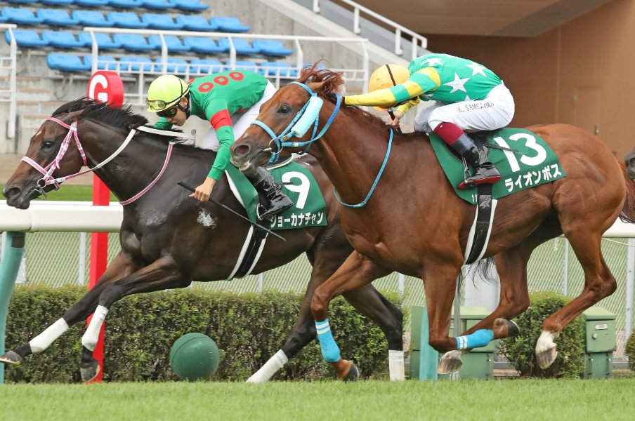 アイビスsd 7年目 鮫島克駿 24 はライオンボスを 快速王者 に導けるか カギは福永祐一の 教え 木馬に乗りながら 競馬 Number Web ナンバー