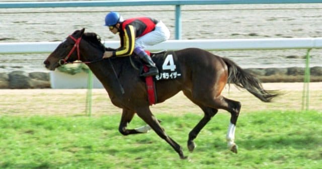 【良好品】 エアグルーヴ キャップ 過保護 帽子 競馬 その他