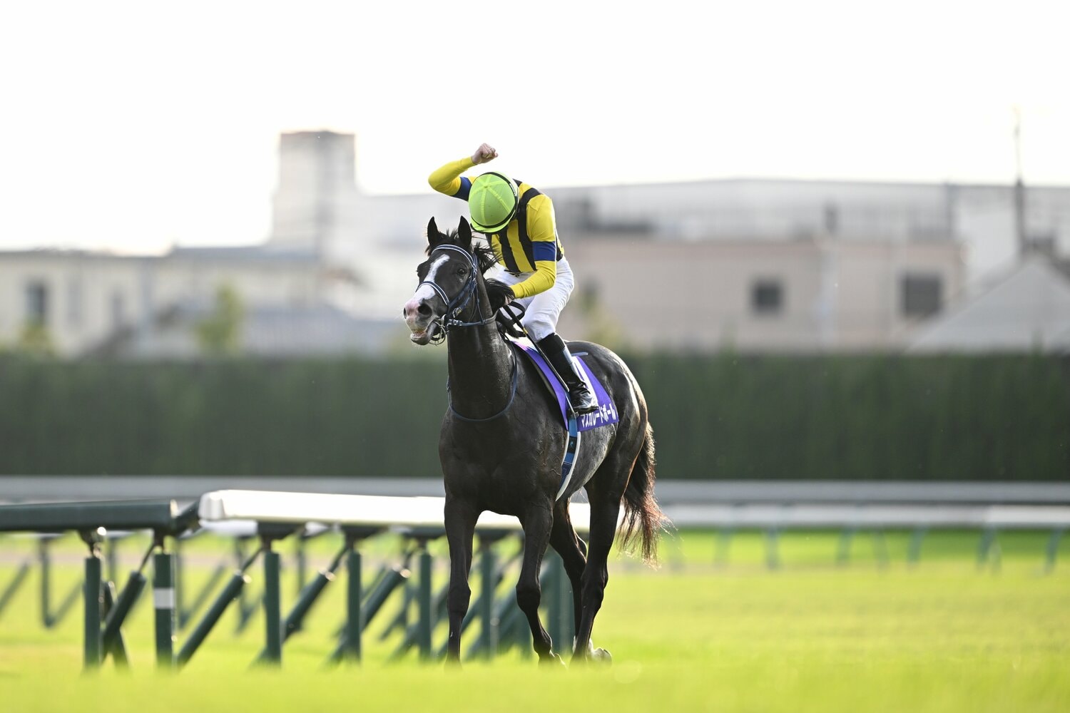 秋華賞、菊花賞につづき、3週連続でGIタイトルを手にしたルメール。馬上で喜びを噛みしめる ©Keiji Ishikawa