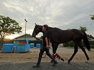 キタサンが勝てば賞金は歴代3位。宝塚記念を凱旋門の景気づけに！