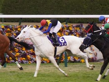 「ソダシはいい意味でクレイジーだね」「僕は彼女のファンですよ」 世界初の白毛GI馬に海外ジョッキーが寄せた声＜Number Web＞ photograph by Satoshi Hiramatsu