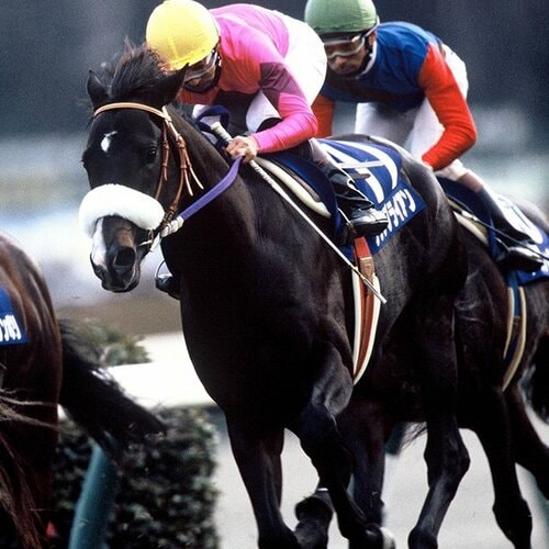 競馬・雑誌・ナリタブライアン・ビワハヤヒデ 競馬・雑誌