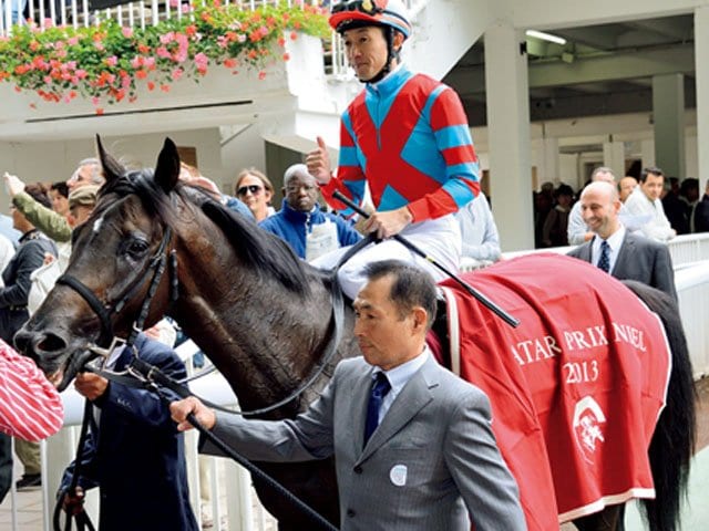 海を渡ったダービー馬たち「キズナが起こしたふたつの革命」 - 競馬 