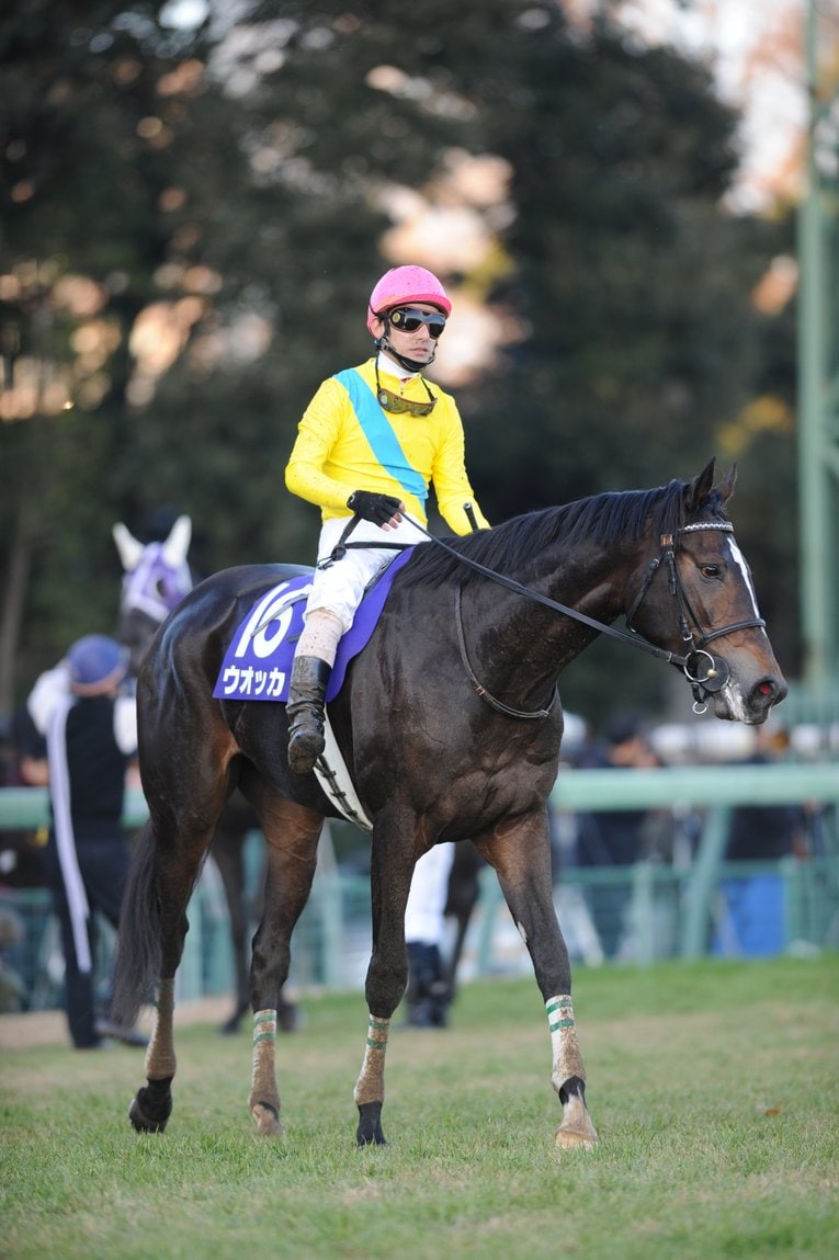 日本ダービーを制したウオッカ　©Keiji Ishikawa