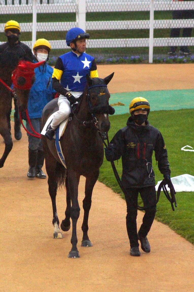 今年6月にデビューしたオマタセシマシタ　提供：ホッカイドウ競馬
