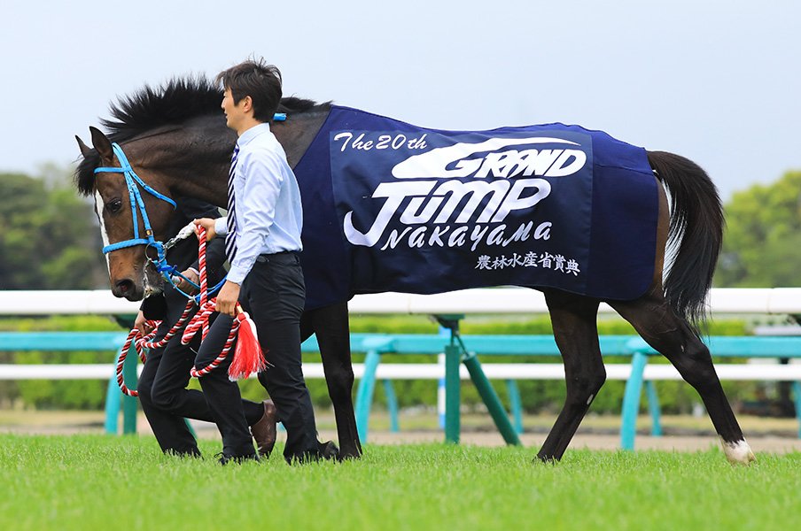オジュウチョウサンと武豊の大挑戦。史上初、障害と平地の両GI制覇を。<Number Web> photograph by AFLO
