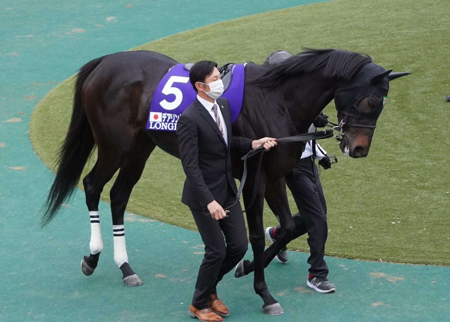 20年ジャパンCのパドックでのデアリングタクト　©Satoshi Hiramatsu
