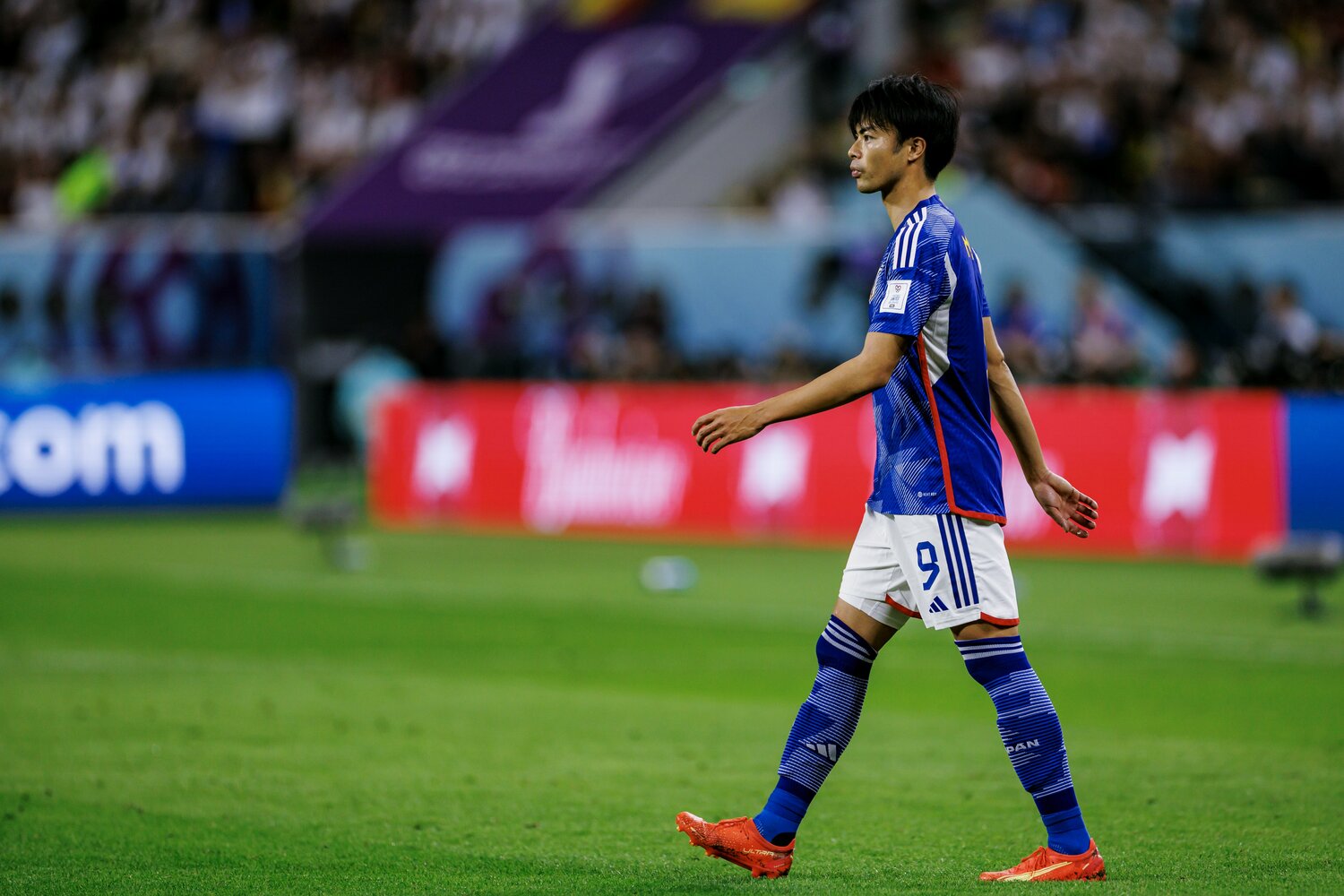 ©Kichi Matsumoto/JMPA