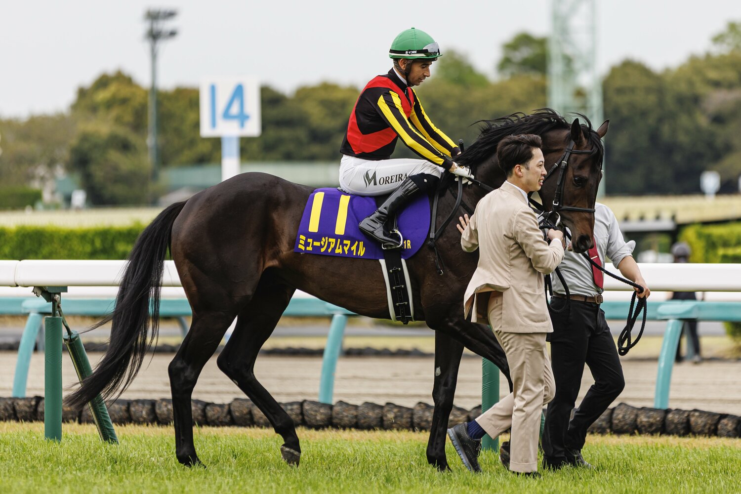 ミュージアムマイルは返し馬でも落ち着いていた　©Kiichi Matsumoto