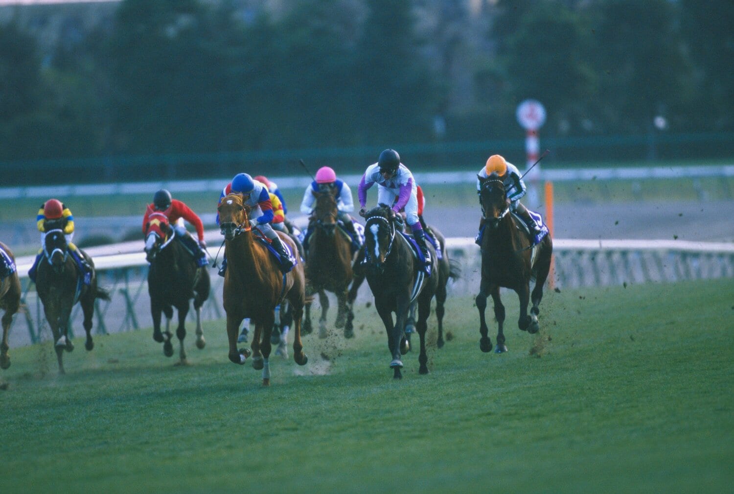 グラスワンダーとスペシャルウィークの大接戦となった1999年の有馬記念。年度代表馬に選ばれなかった両頭には「特別賞」が与えられた　©Tomohiko Hayashi